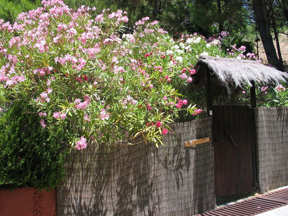 Ddg Retreat Casares Exterior foto